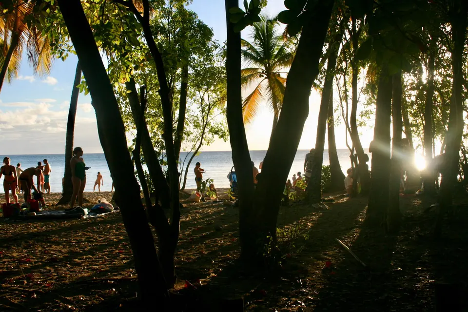 Fin de journée sur une plage de Martinique, sous les arbres