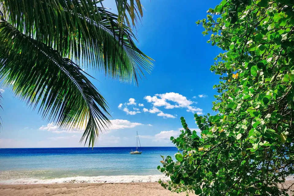 Plage de Martinique, voilier au mouillage et palmiers